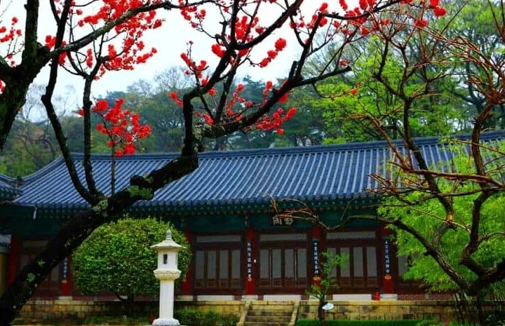 통도사의 봄 / 사진=한국관광공사 김지호