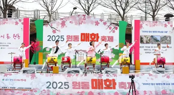 지난 원동매화축제 공연 모습 / 사진=양산문화축전