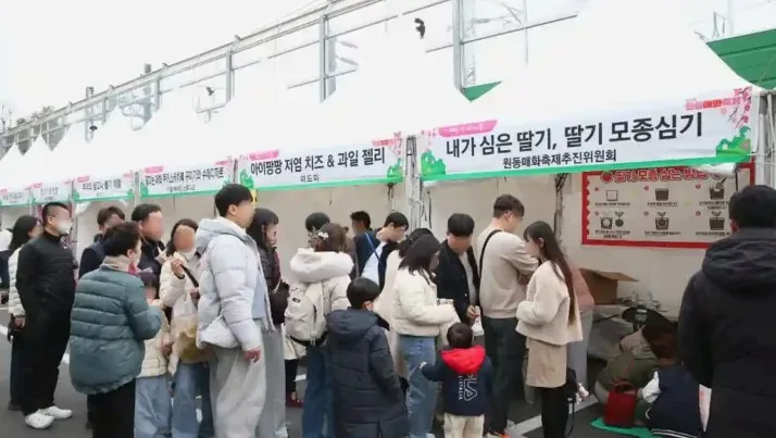 양산 원동매화축제 체험부스 / 사진=양산문화축전