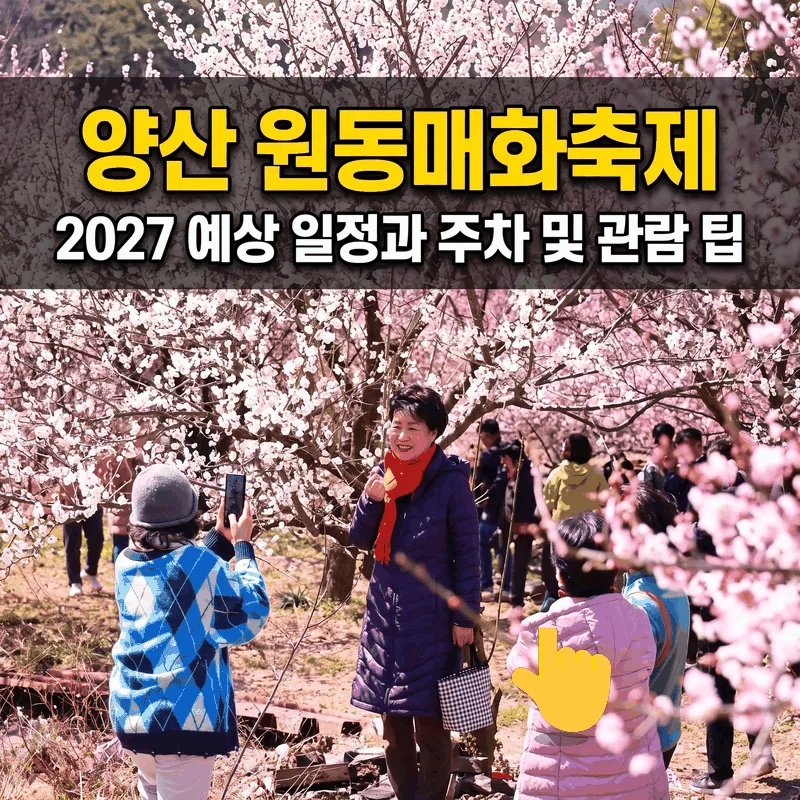 양산 원동매화축제 2027 예상 일정과 주차 및 관람 팁