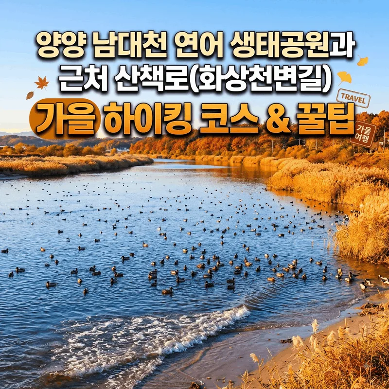 양양 남대천 연어생태공원 및 인근 등산로(화상천변길) 가을 산행 코스와 팁