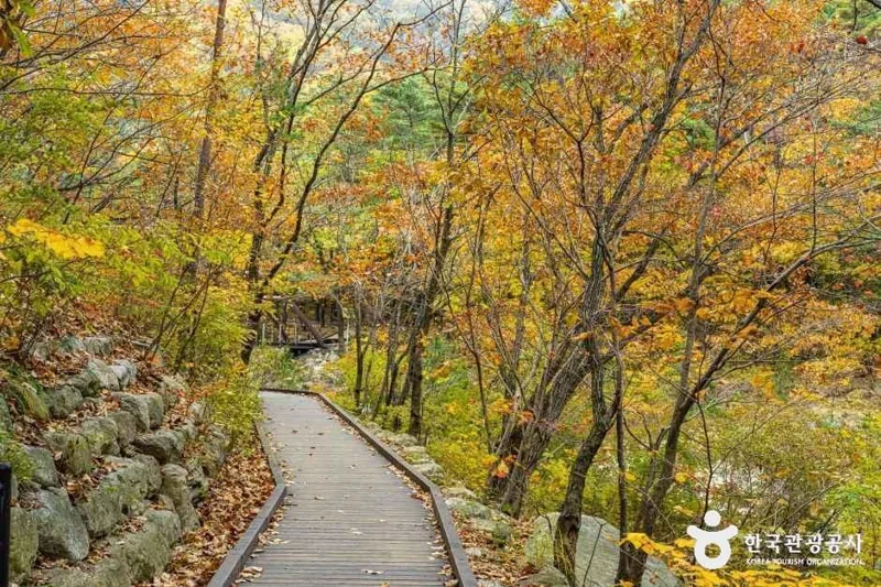 설악산 오색주전골