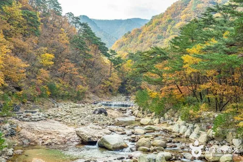 설악산 오색주전골