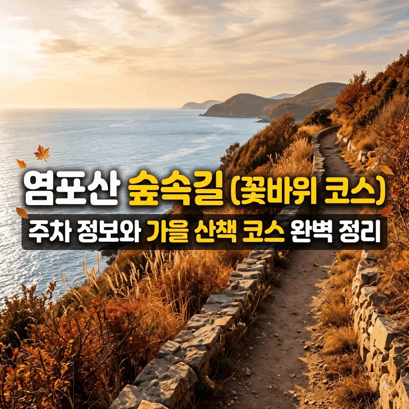 염포산 숲속길(꽃바위 코스) 주차 정보와 가을 산책 코스 완벽 정리