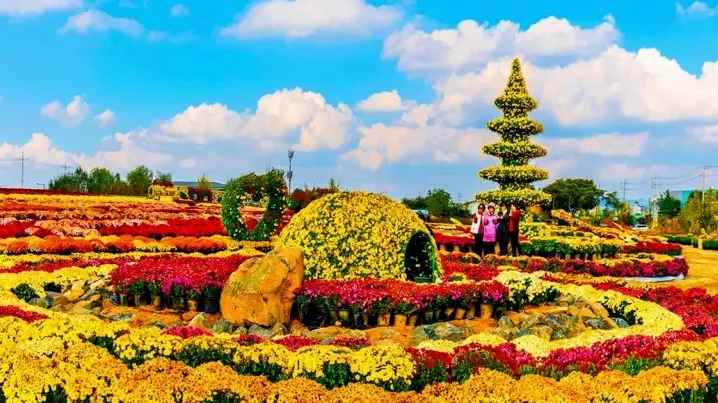 연천국화축제 풍경 / 사진=연천군