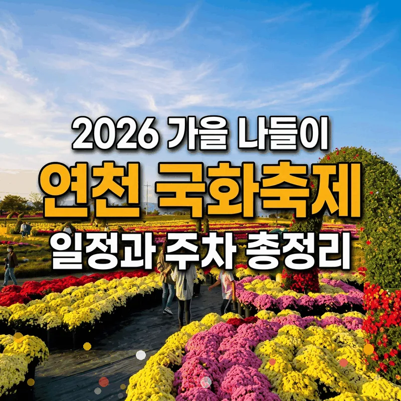 연천 국화축제 2026 가을 나들이 일정과 주차 총정리