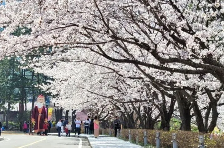 영암왕인문화축제 / 사진=영암군