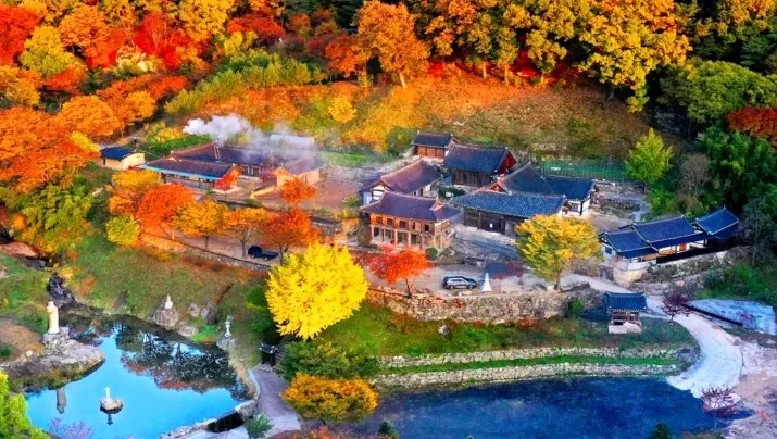 은해사 단풍 전경 / 사진=영천 문화관광