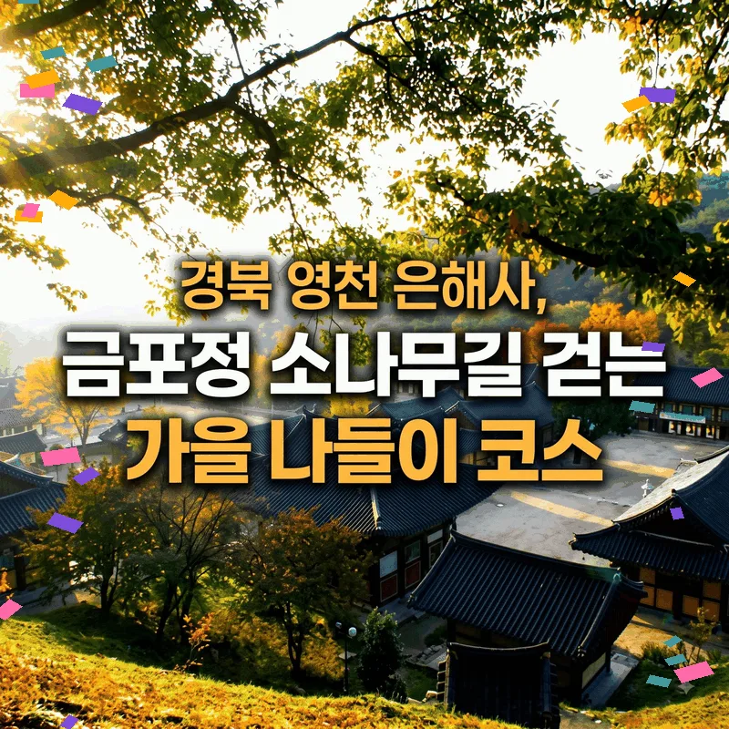 경북 영천 은해사, 금포정 소나무길 걷는 가을 나들이 코스