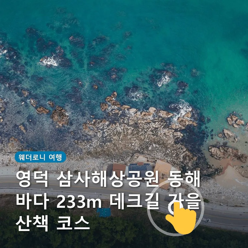 영덕 삼사해상공원 동해 바다 233m 데크길 가을 산책 코스