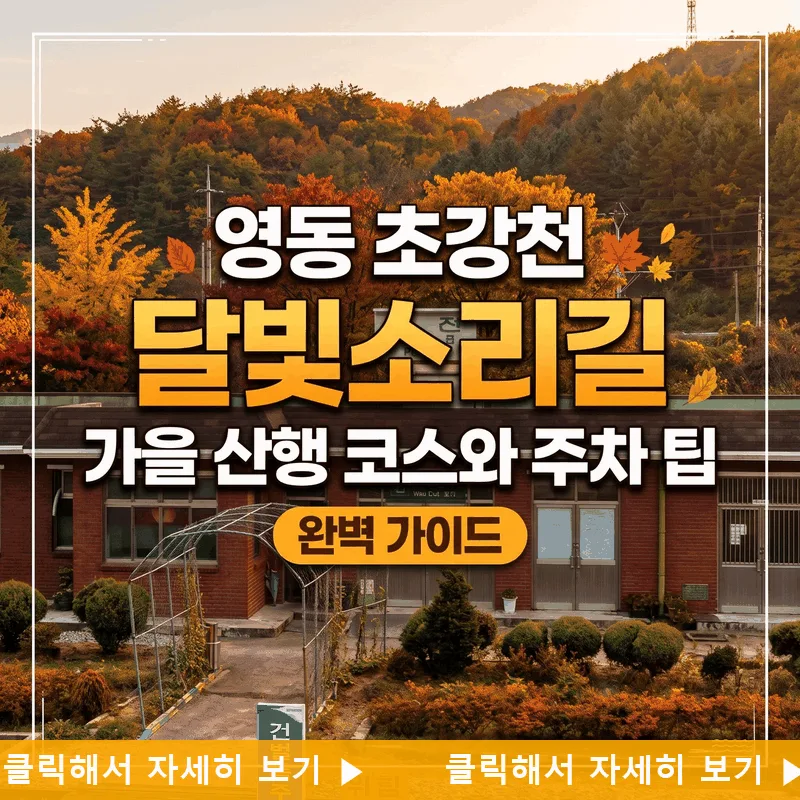 영동 초강천 달빛소리길 가을 산행 코스와 주차 팁 완벽 가이드