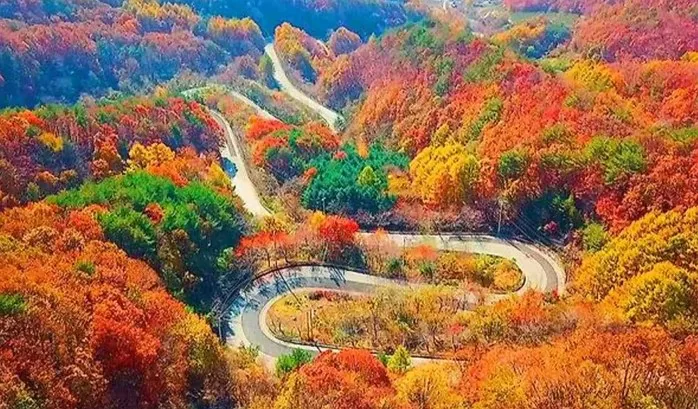 도마령 단풍 / 사진=영동군