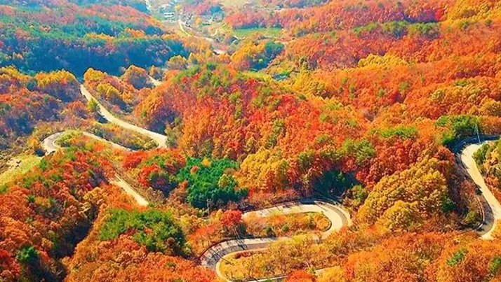 도마령 / 사진=영동군