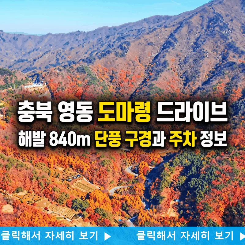 충북 영동 도마령 드라이브, 해발 840m 단풍 구경과 주차 정보