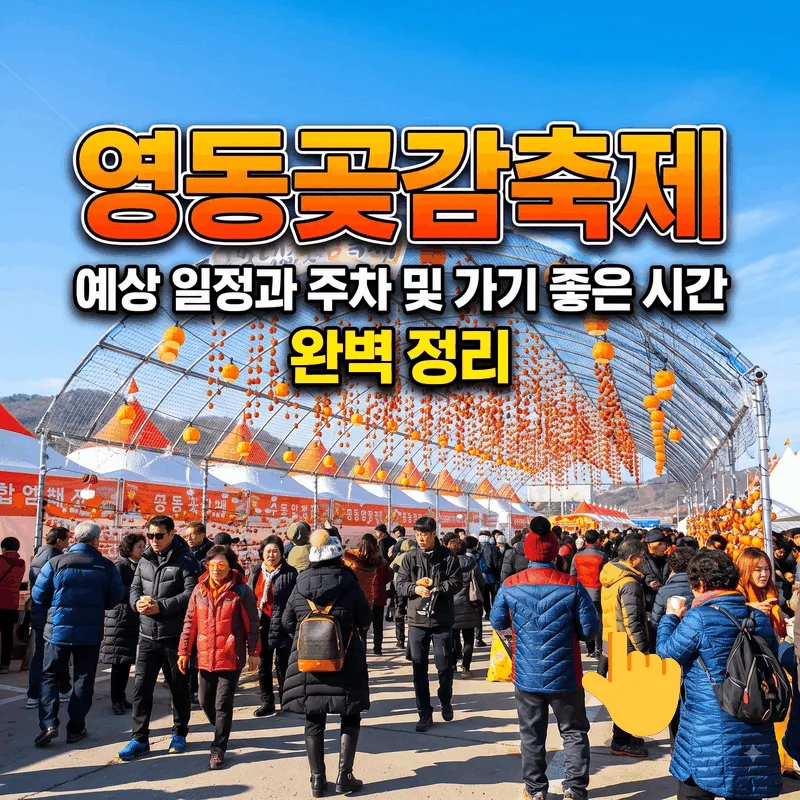 영동곶감축제 예상 일정과 주차 및 가기 좋은 시간 완벽 정리