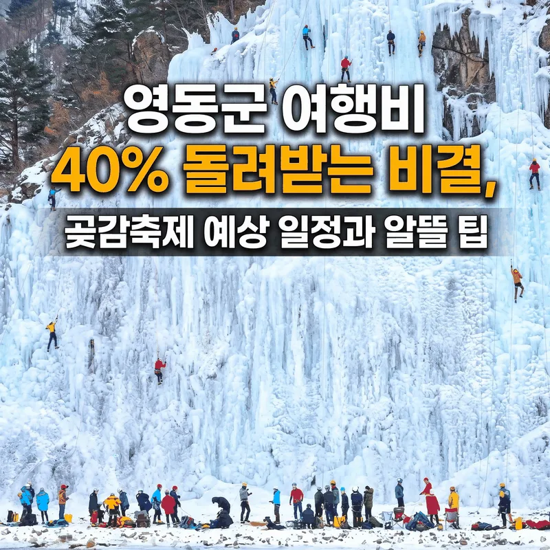 영동군 여행비 40% 돌려받는 비결, 곶감축제 예상 일정과 알뜰 팁