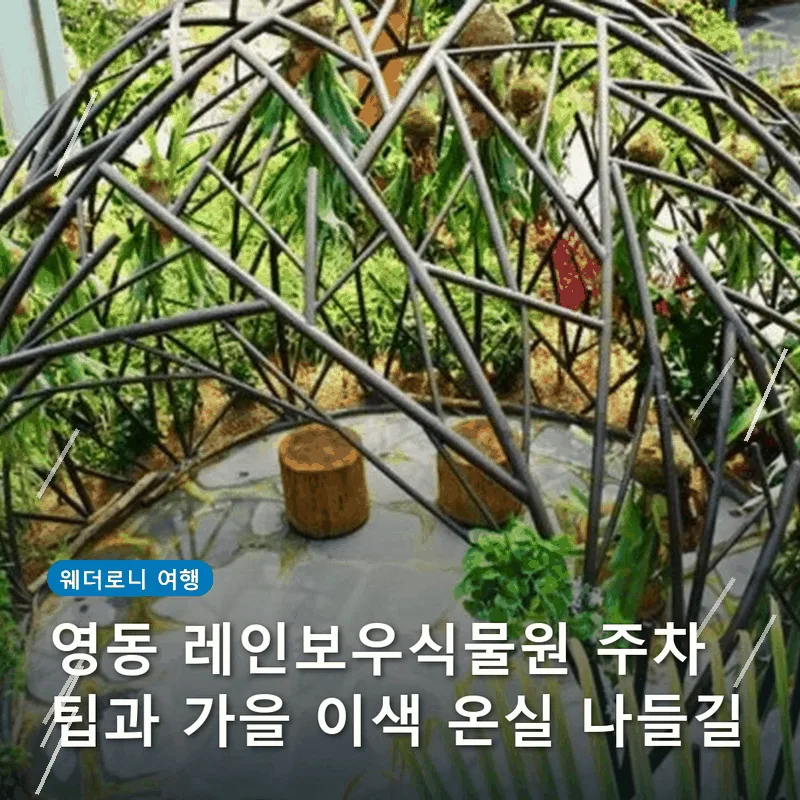 영동 레인보우식물원 주차 팁과 가을 이색 온실 나들길