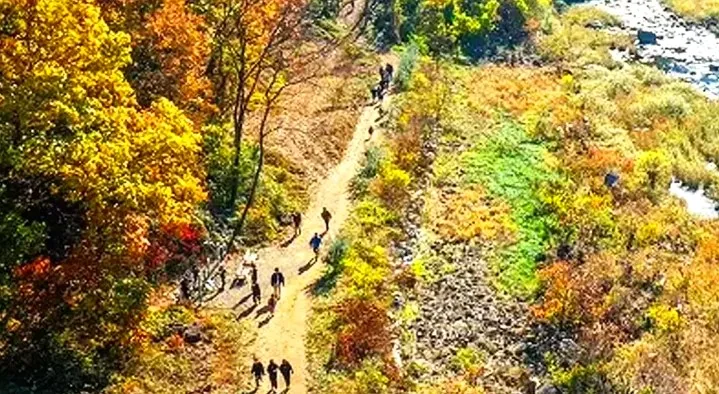 월류봉 둘레길 가을 / 사진=영동군