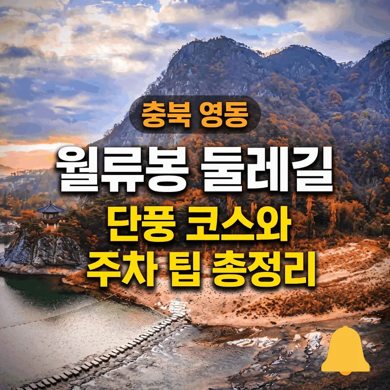 충북 영동 월류봉 둘레길 단풍 코스와 주차 팁 총정리