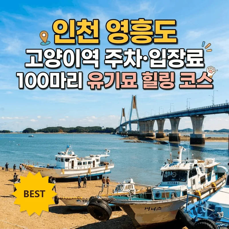 인천 영흥도 고양이역 주차 입장료 100마리 유기묘 힐링 코스