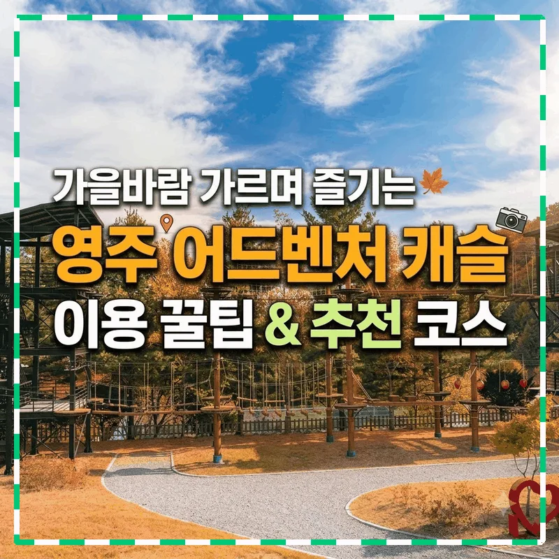 가을바람 가르며 즐기는 영주 어드벤처 캐슬 이용 꿀팁과 추천 코스