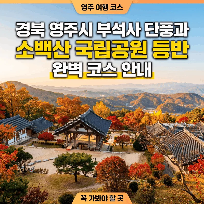 경북 영주시 부석사 단풍과 소백산 국립공원 등반 완벽 코스 안내