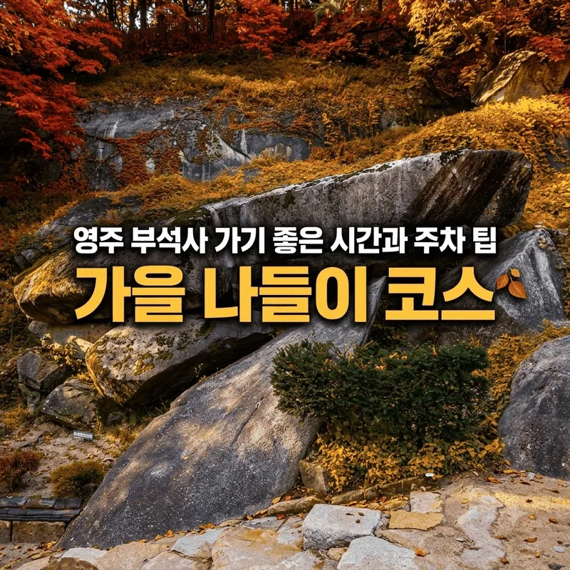 영주 부석사 가기 좋은 시간과 주차 팁, 가을 나들이 코스