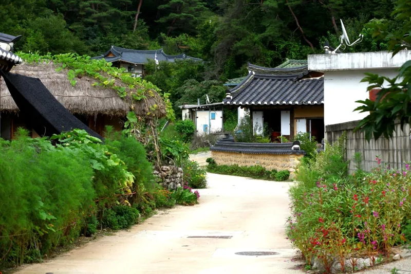 영주 무섬마을