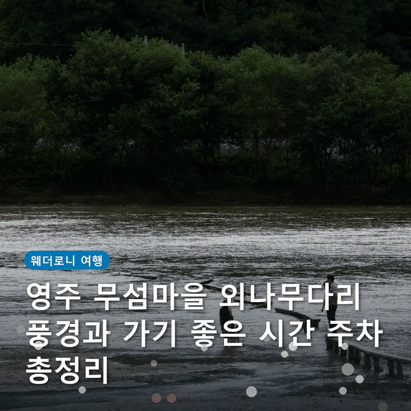 영주 무섬마을 외나무다리 풍경과 가기 좋은 시간 주차 총정리
