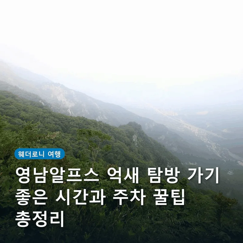 영남알프스 억새 탐방 가기 좋은 시간과 주차 꿀팁 총정리
