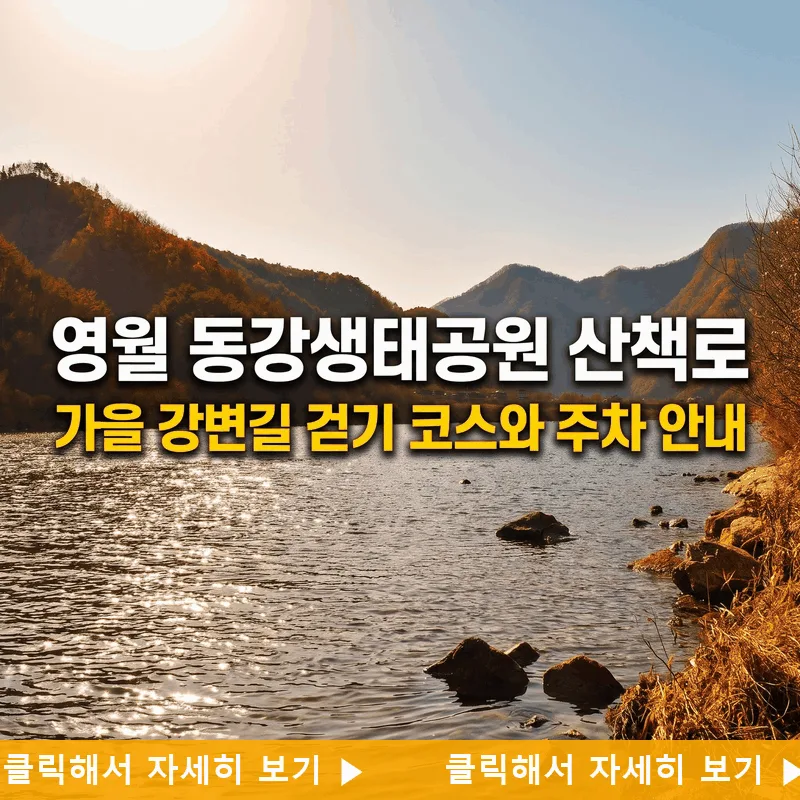 영월 동강생태공원 산책로 가을 강변길 걷기 코스와 주차 안내