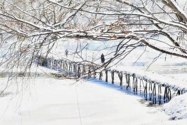영월 섶다리 마을 겨울철 모습 / 사진=유튜브 강릉꽁지