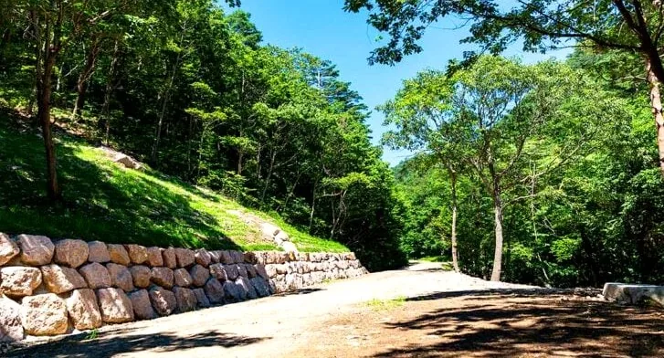 자작나무 숲 입구 / 사진=영양문화관광