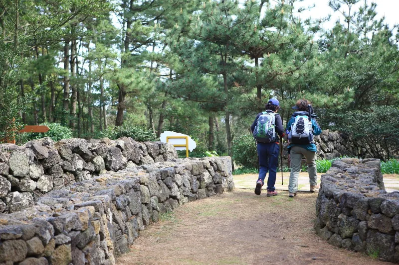 올레길