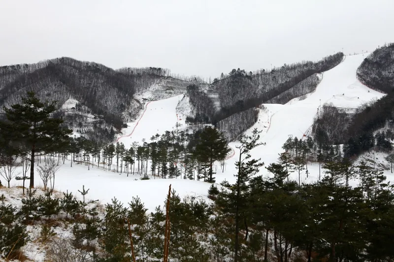 오크밸리스키장