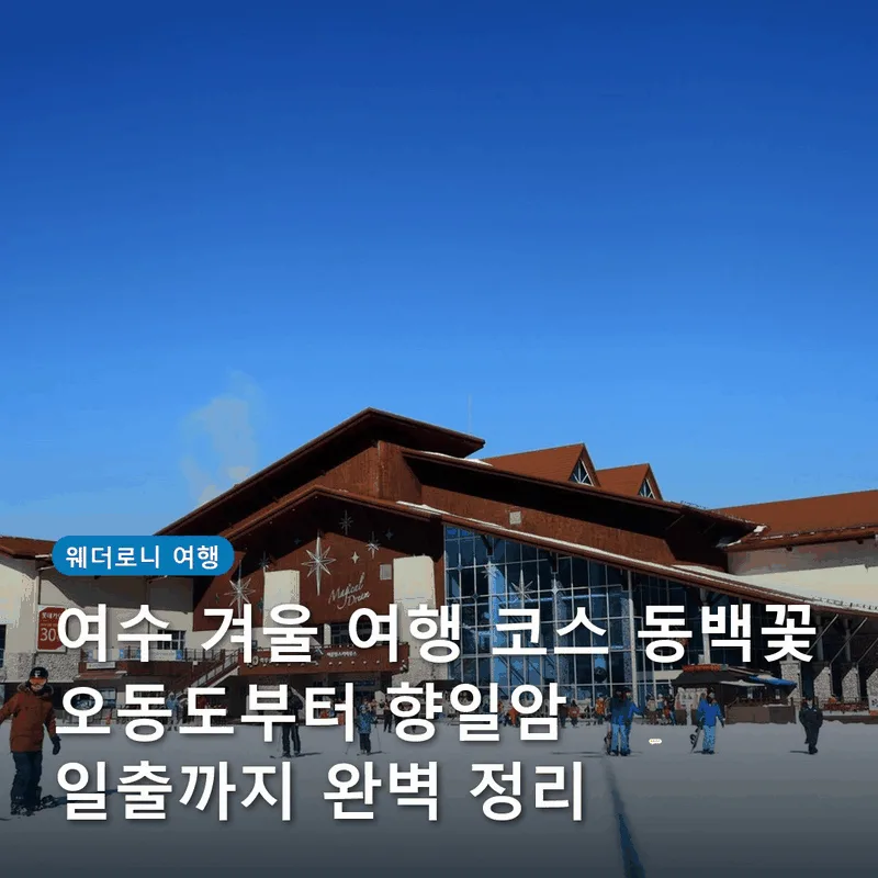 여수 겨울 여행 코스 동백꽃 오동도부터 향일암 일출까지 완벽 정리