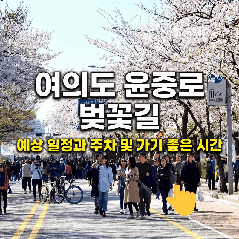 여의도 윤중로 벚꽃길 예상 일정과 주차 및 가기 좋은 시간