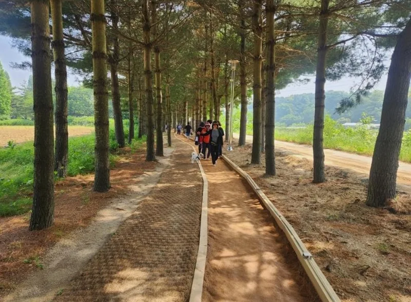 덕산온천 족욕장&황톳길 상세이미지10