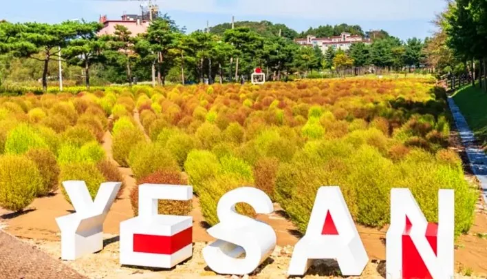덕산온천지구 모습 / 사진=한국관광콘텐츠랩