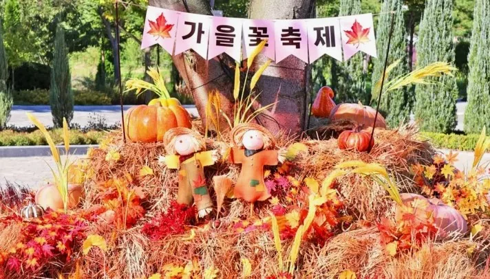 가을꽃축제 풍경 / 사진=용인자작나무숲