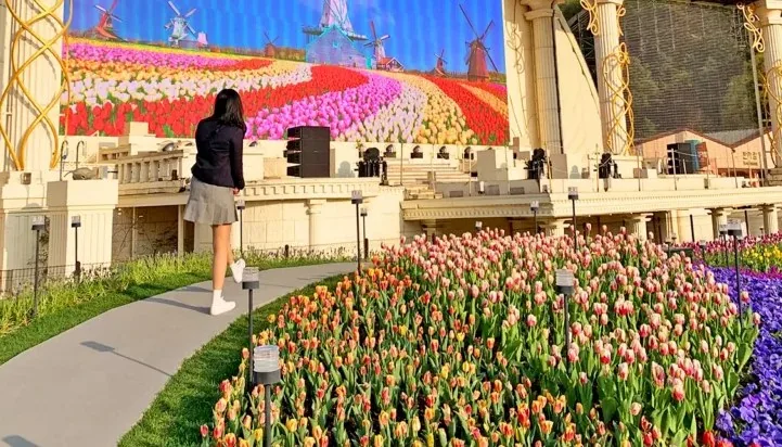 지난 튤립축제 / 사진=여행을 말하다 DB