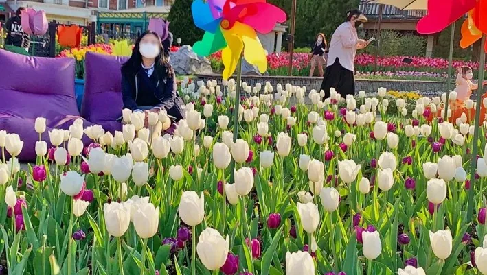 에버랜드 튤립축제 / 사진=여행을 말하다 DB