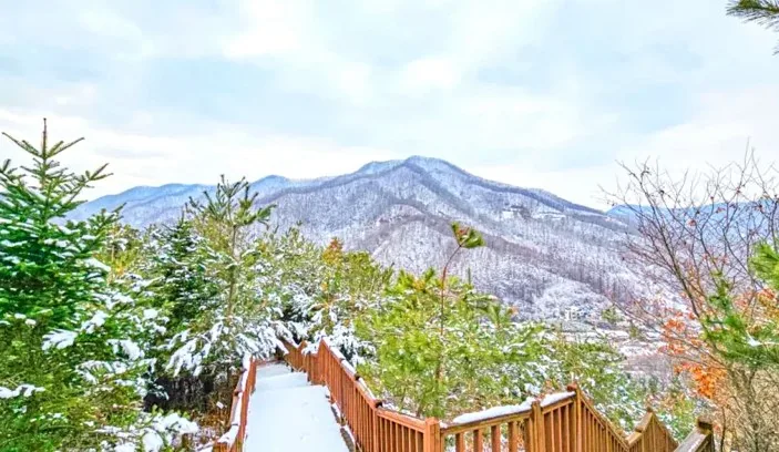 석포숲공원 풍경 / 사진=용인시 공식 블로그 임동환
