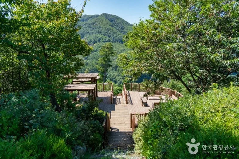 석포숲공원