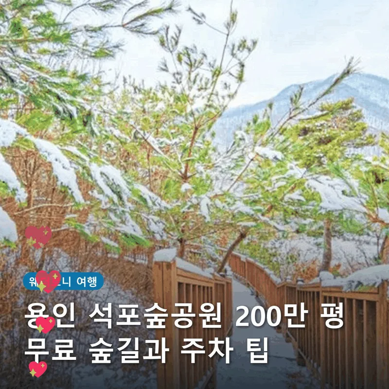 용인 석포숲공원 200만 평 무료 숲길과 주차 팁