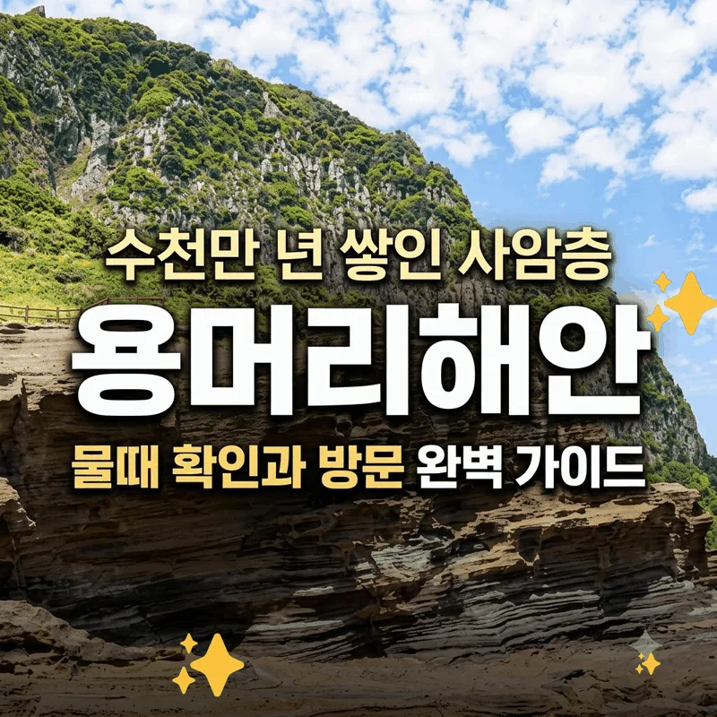 수천만 년 쌓인 사암층 용머리해안 물때 확인과 방문 완벽 가이드