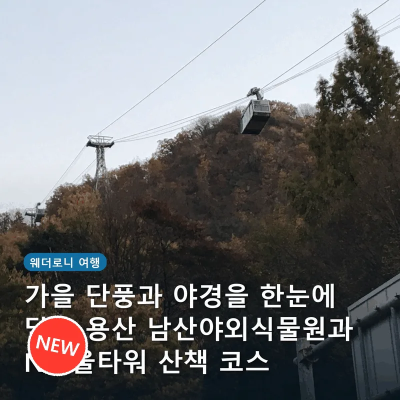 가을 단풍과 야경을 한눈에 담는 용산 남산야외식물원과 N서울타워 산책 코스