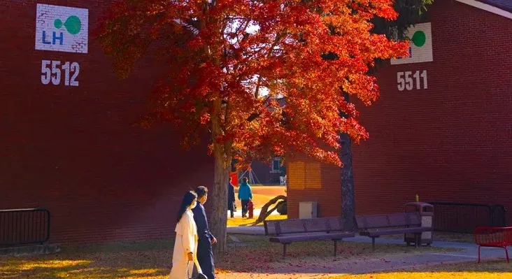 용산공원 미군기지 단풍 / 사진=서울관광 아카이브