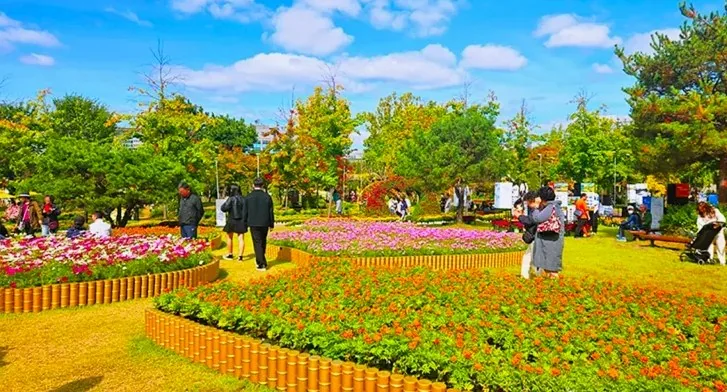 유성국화축제 전경 / 사진=대전관광공사