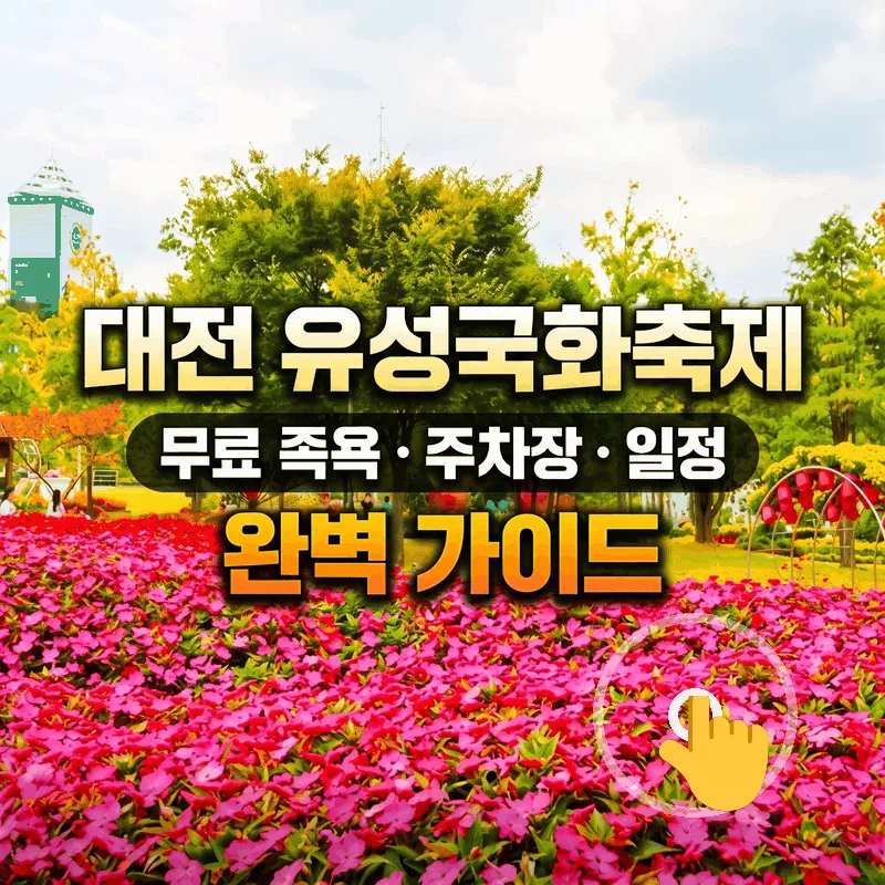 대전 유성국화축제 무료 족욕 주차장 일정 완벽 가이드
